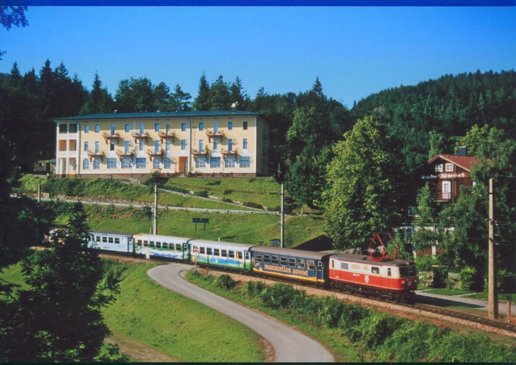 Příroda nedaleko hotelu
