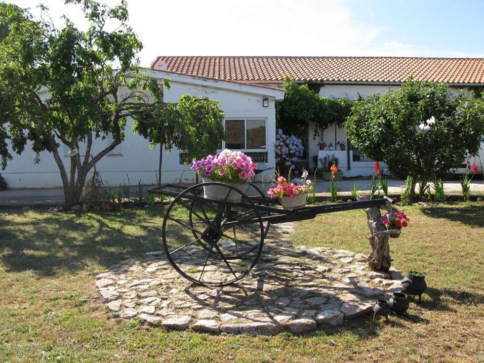 a metal table with flowers on it in a yard at El Condado Casa Rural in Fuentes de Oñoro
