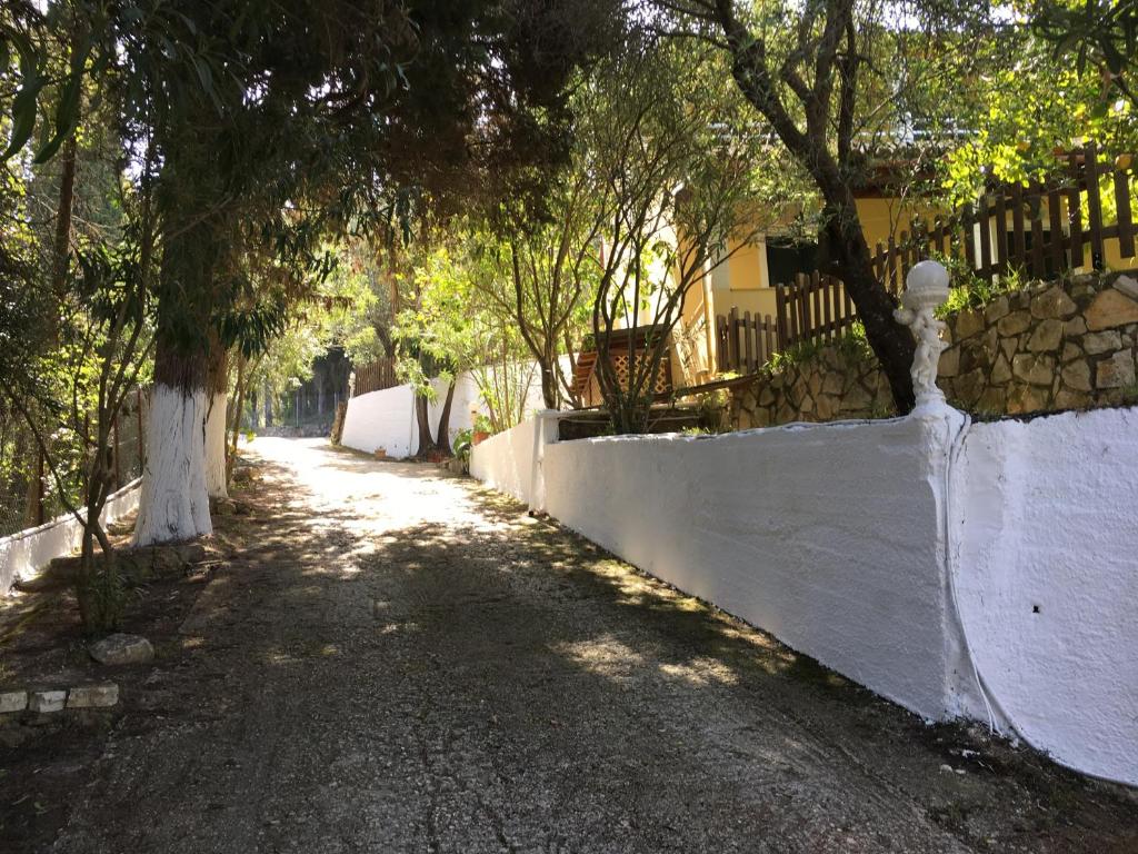 Fotografie z fotogalerie ubytování Magdalini Apartments v destinaci Afionas