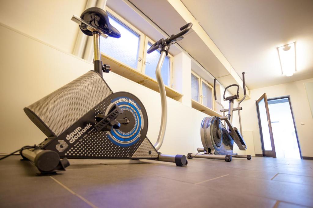 Fitness centrum a/nebo fitness zařízení v ubytování Hotel Weingarten