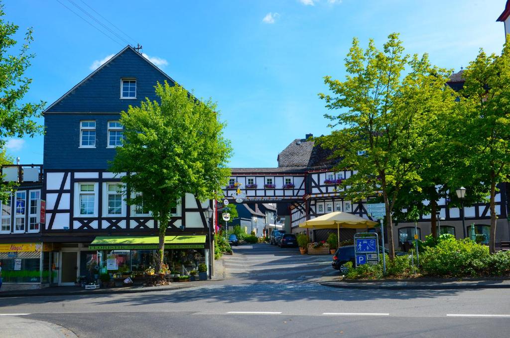 uma rua numa cidade com edifícios e árvores em Hotel Gasthof Koch em Daaden