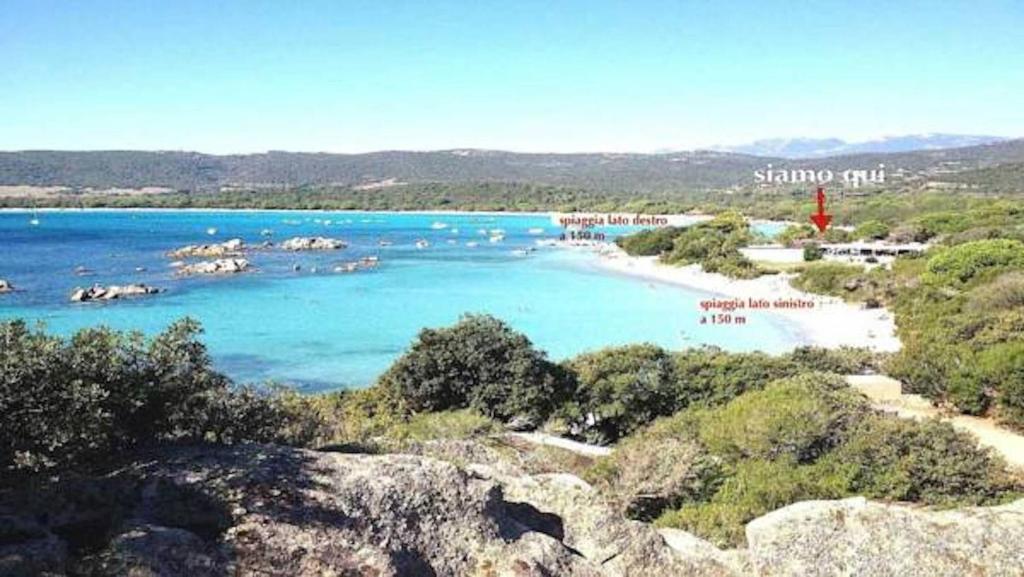 une plage avec un groupe de bateaux dans l'eau dans l'établissement Minivilla Marina di Santa Giulia, à Porto-Vecchio