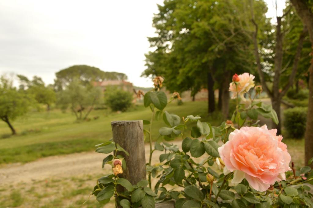 A garden outside Agriturismo Riparossa