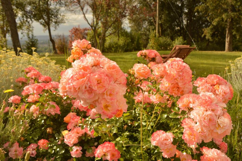 A garden outside Agriturismo Riparossa