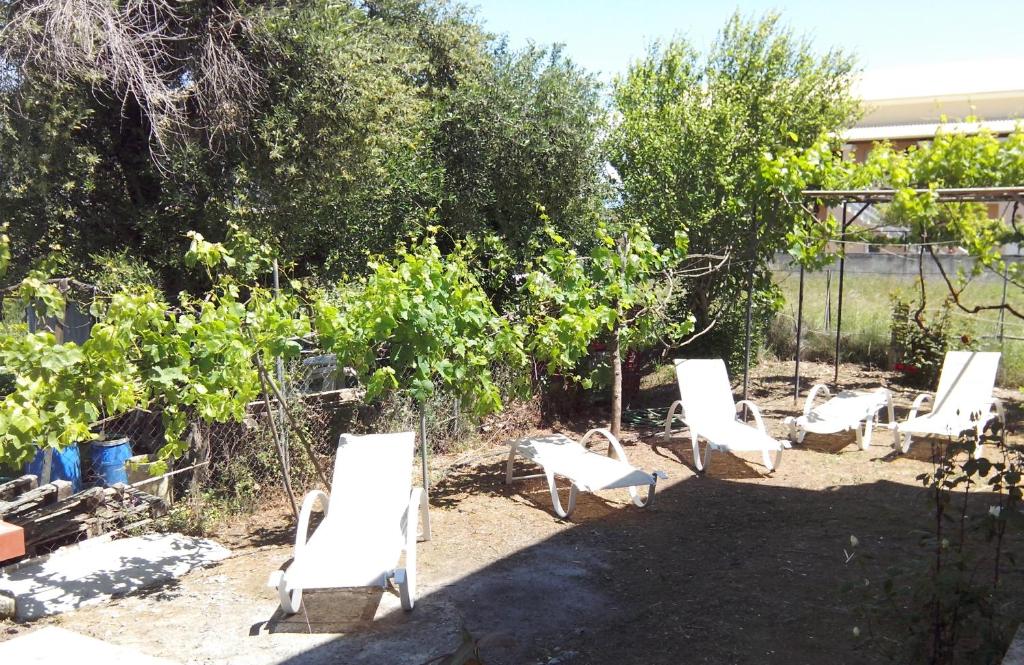 A garden outside Alex Apartments