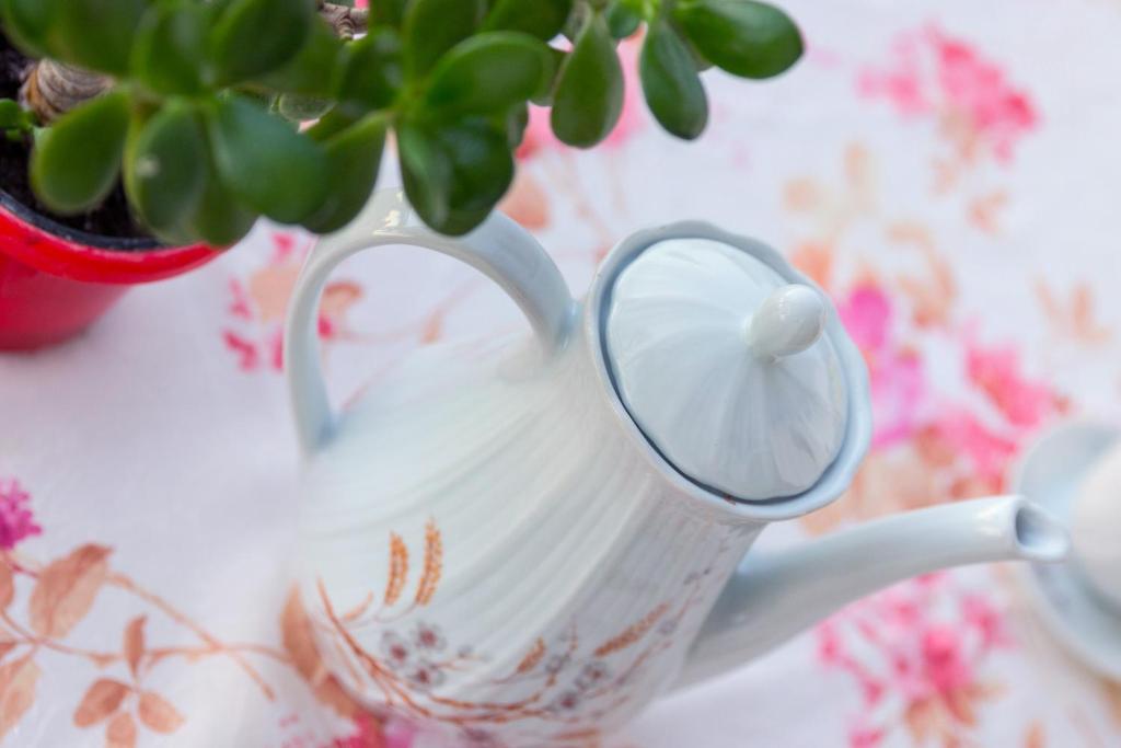 biały dzbanek z rośliną w obiekcie Summer Rooms w mieście Skala Kallirachis