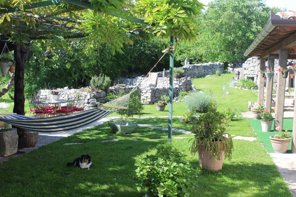 Vonkajšia záhrada v ubytovaní Villa Mavrici, Neighbors free