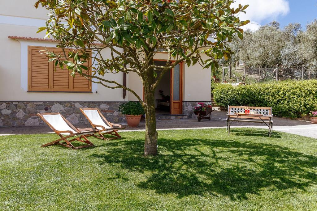 マッサ・ルブレンセにあるLa Casa di Nonna Elviraの木の横の椅子2脚とベンチ