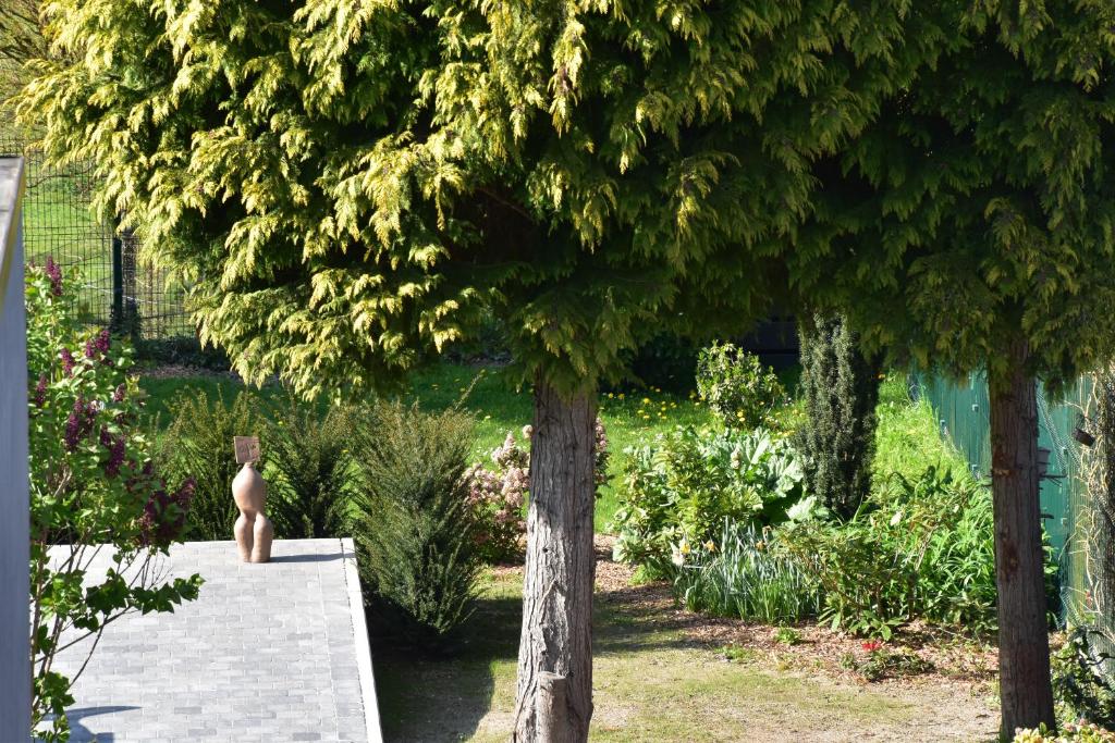 Aed väljaspool majutusasutust RectoVersoVV