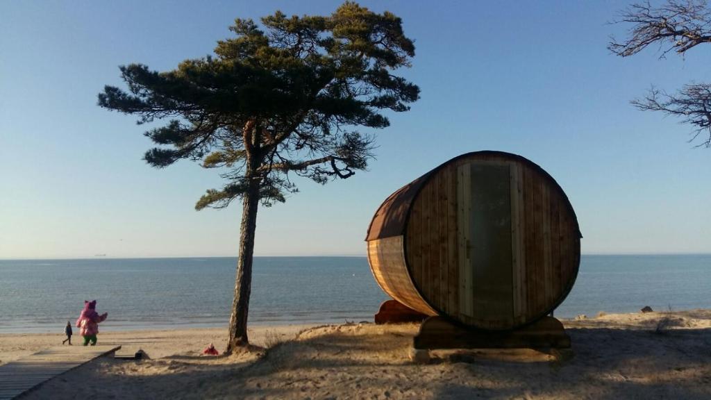 a large wooden barrel sitting on a beach next to a tree at Kempings Saulesmājas in Kolka