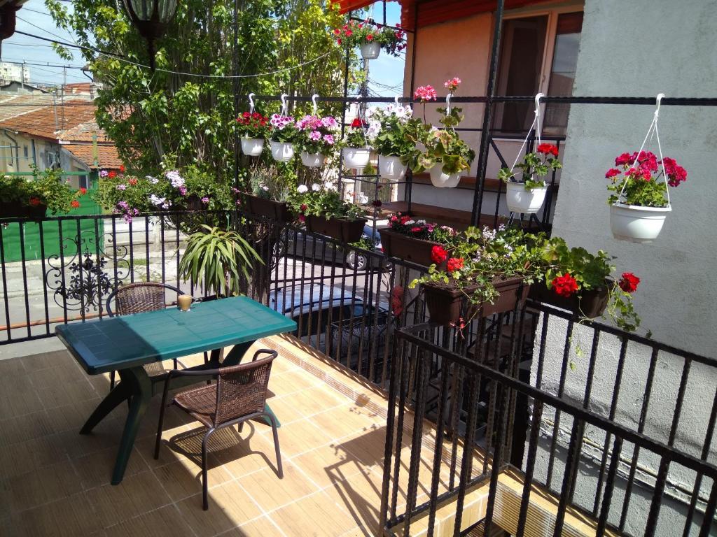 コンスタンツァにあるVila Arisaのバルコニー(青いテーブル、鉢植えの植物付)