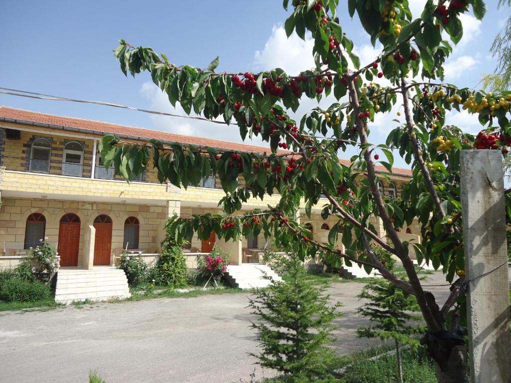 A garden outside Akar Hotel