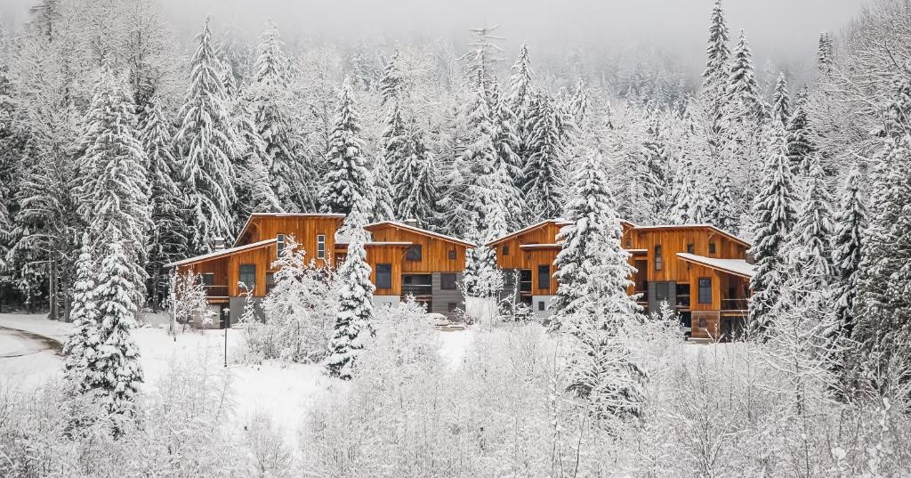 un lodge en el bosque con árboles nevados en The Mountain Project #2 en Rossland