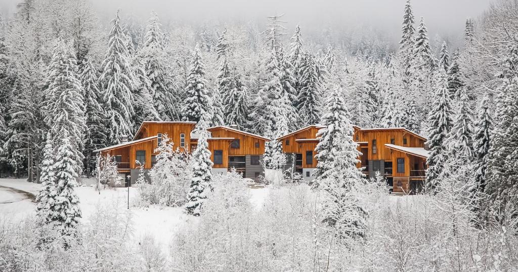 a lodge in the woods with snow covered trees at The Mountain Project #2 in Rossland