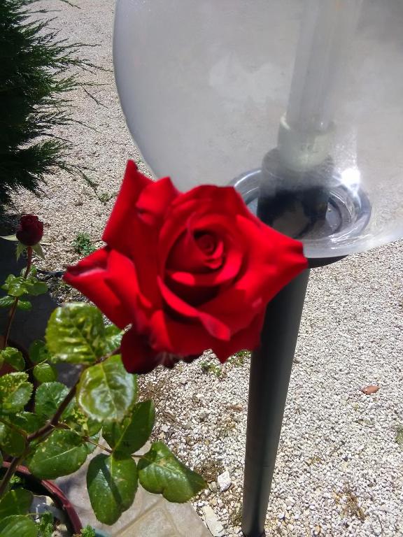 Kép Trulli Sarmenzanello szállásáról Nociban a galériában