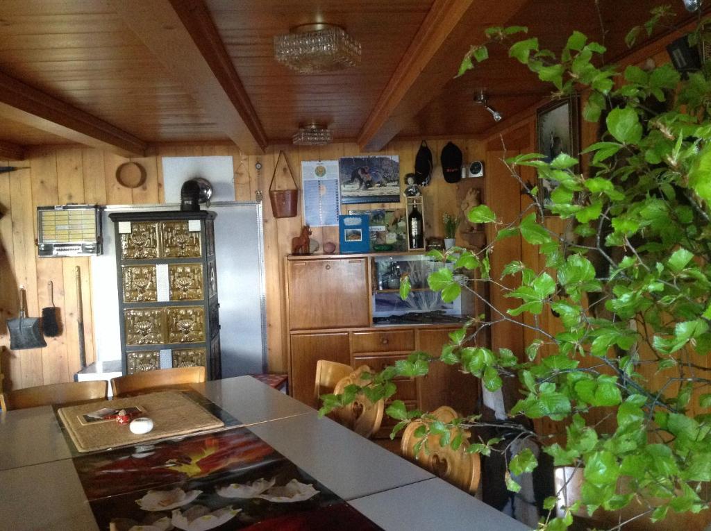 eine Küche mit einem Kühlschrank und einem Tisch mit einer Pflanze in der Unterkunft Panorama Hotel Wagenkehr in Innertkirchen