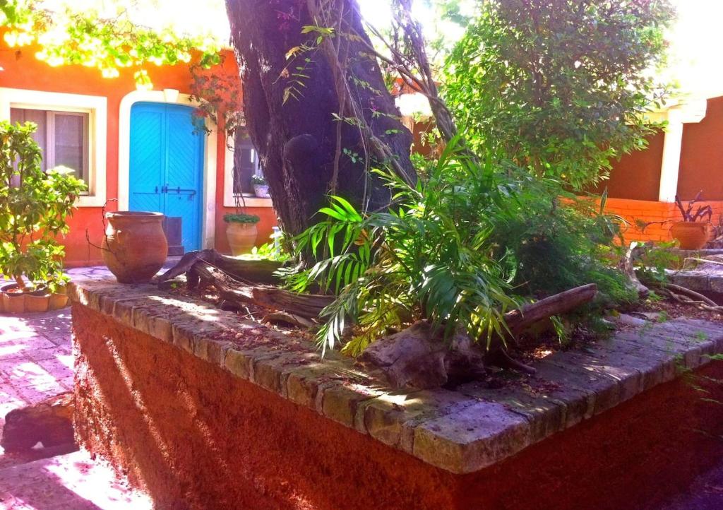 un árbol delante de una casa en Corfu Town Garden Cottage en Corfú