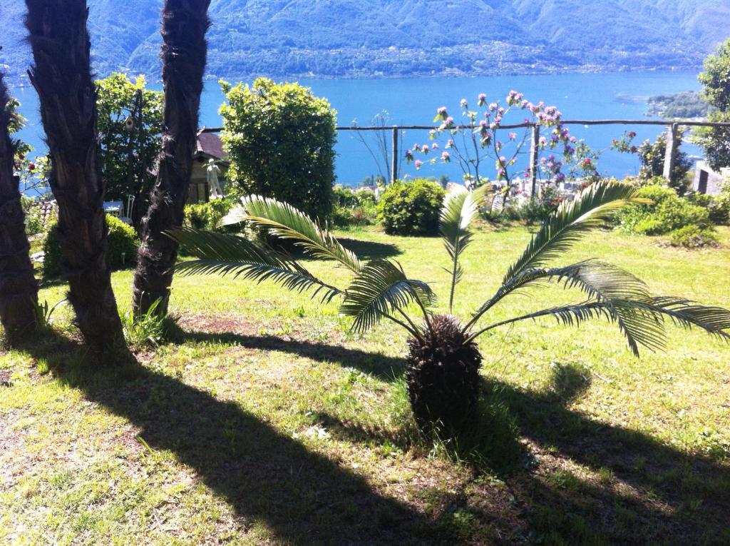 Sonnenstrahl - Resim 10