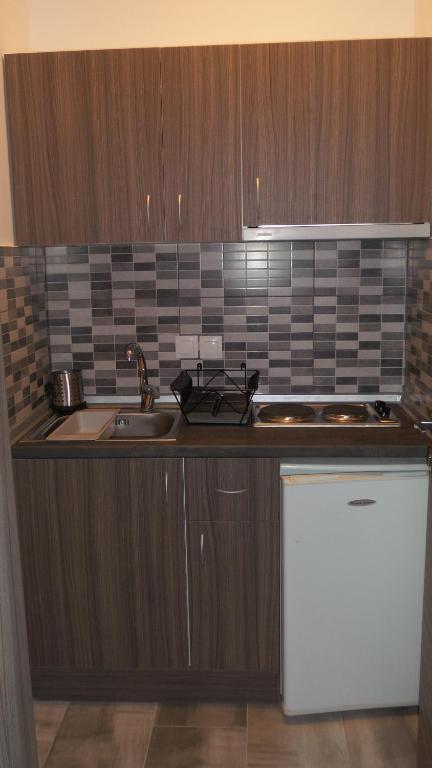 Kuchyň nebo kuchyňský kout v ubytování House Roula