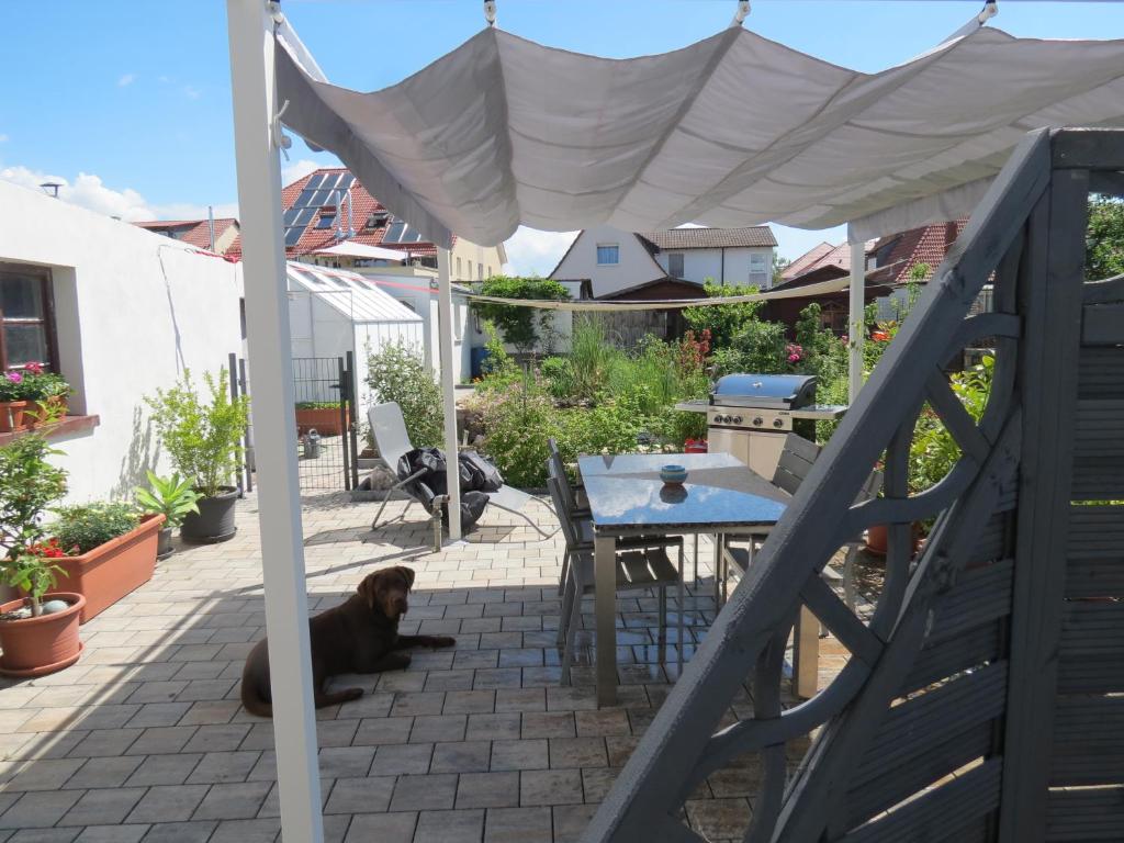 Spira House - Apartamento - Planta Baja -3