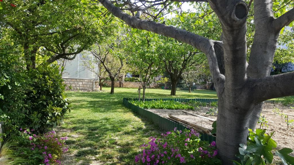 een park met bloemen en een boom met een bank bij Apartments Arthur in Podstrana