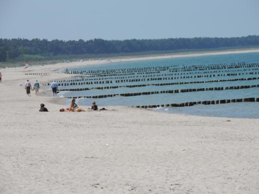 eine Gruppe von Menschen, die am Strand neben dem Wasser sitzen in der Unterkunft Ferienhaus Am Dünenwald in Glowe