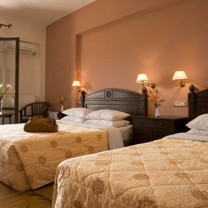 pokój hotelowy z 2 łóżkami i 2 lampami w obiekcie Vytina Mountain View Hotel w mieście Vytina
