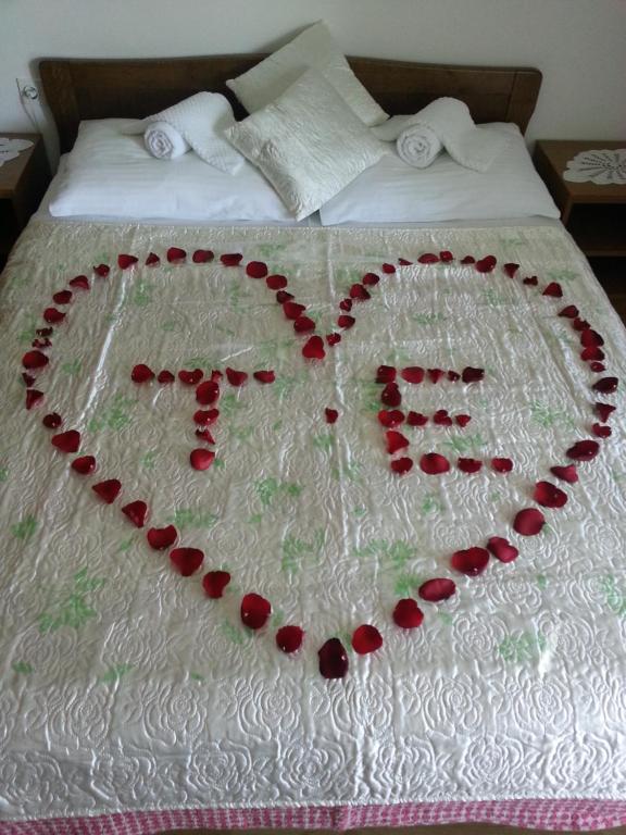 Guest House Ljubo & Ana - 11