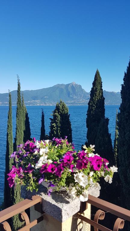 una panchina con dei fiori accanto all'acqua di Il Paradiso Apartments Great View Gardasee a Torri del Benaco