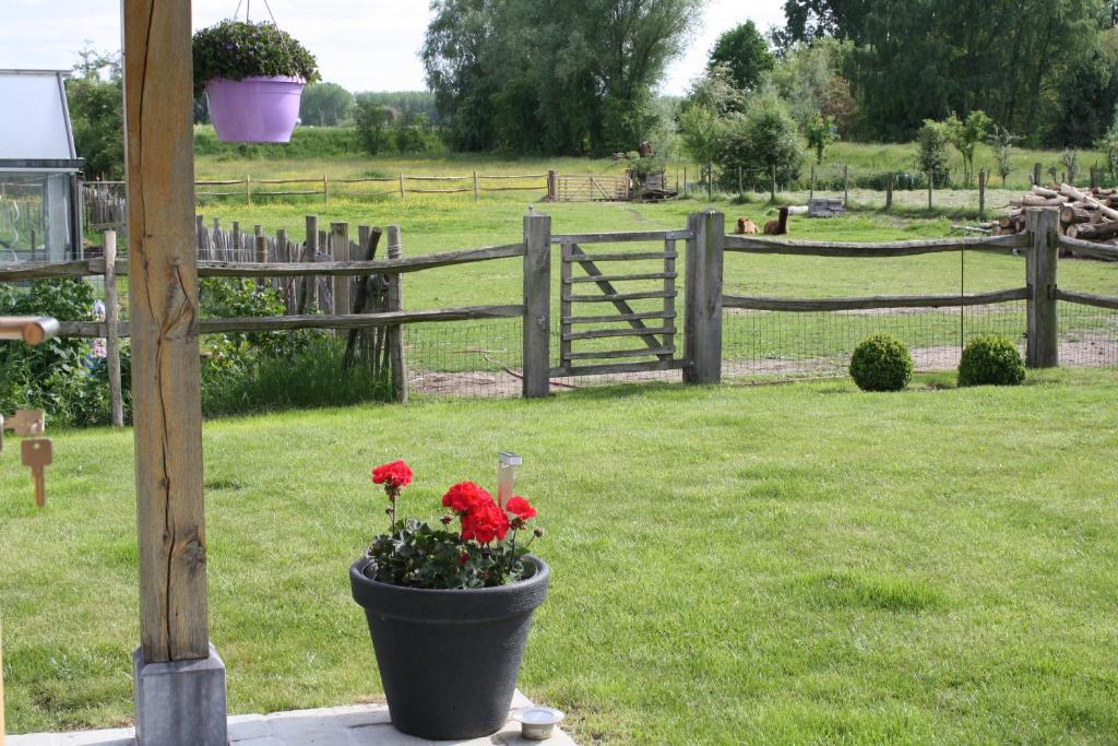 a potted plant with red flowers in front of a fence at B&B De Meerkoet in Linkhout