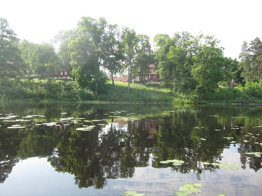 Příroda nedaleko bed and breakfast