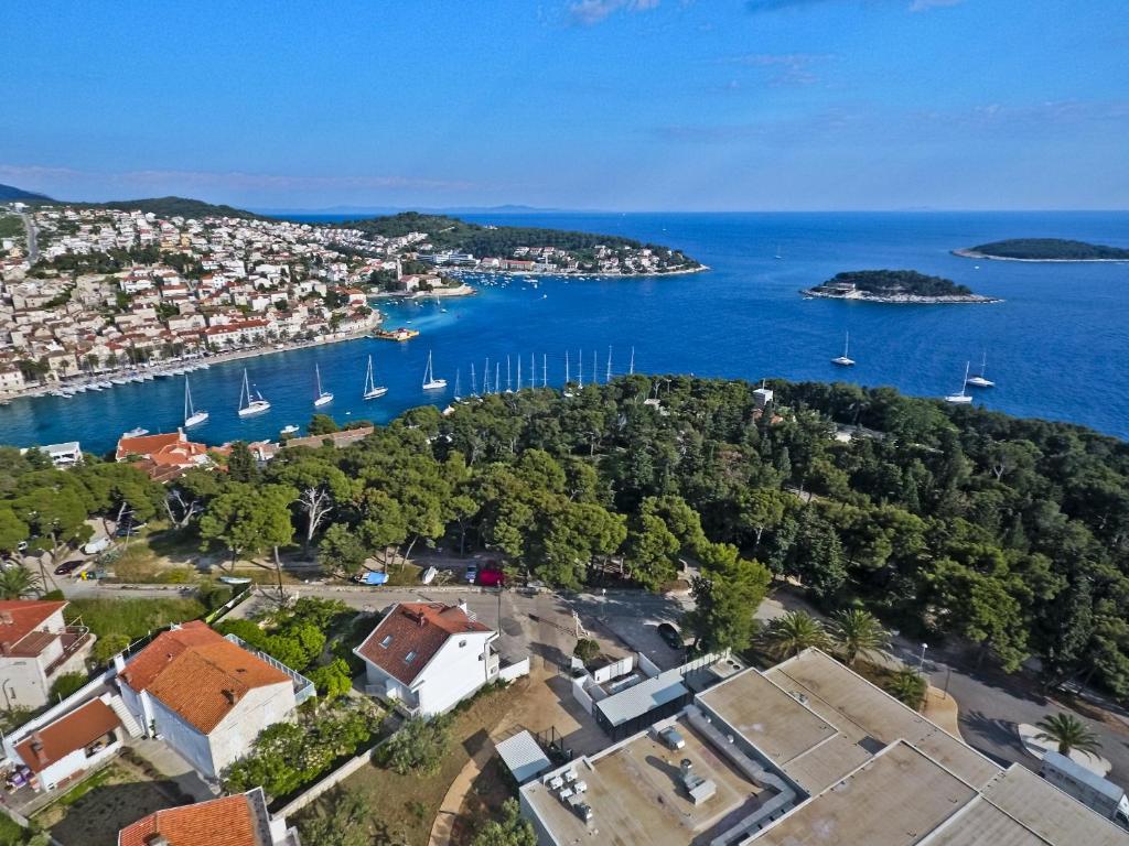 Příroda nedaleko apartmánu