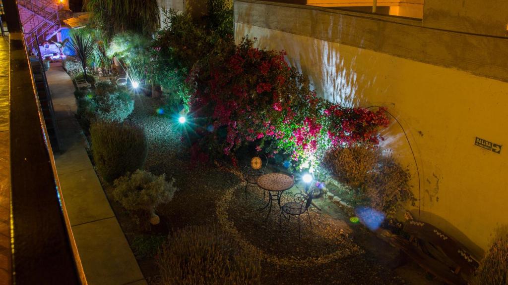 einen Blick über den Garten in der Nacht mit Licht in der Unterkunft Divina Presencia in Cafayate
