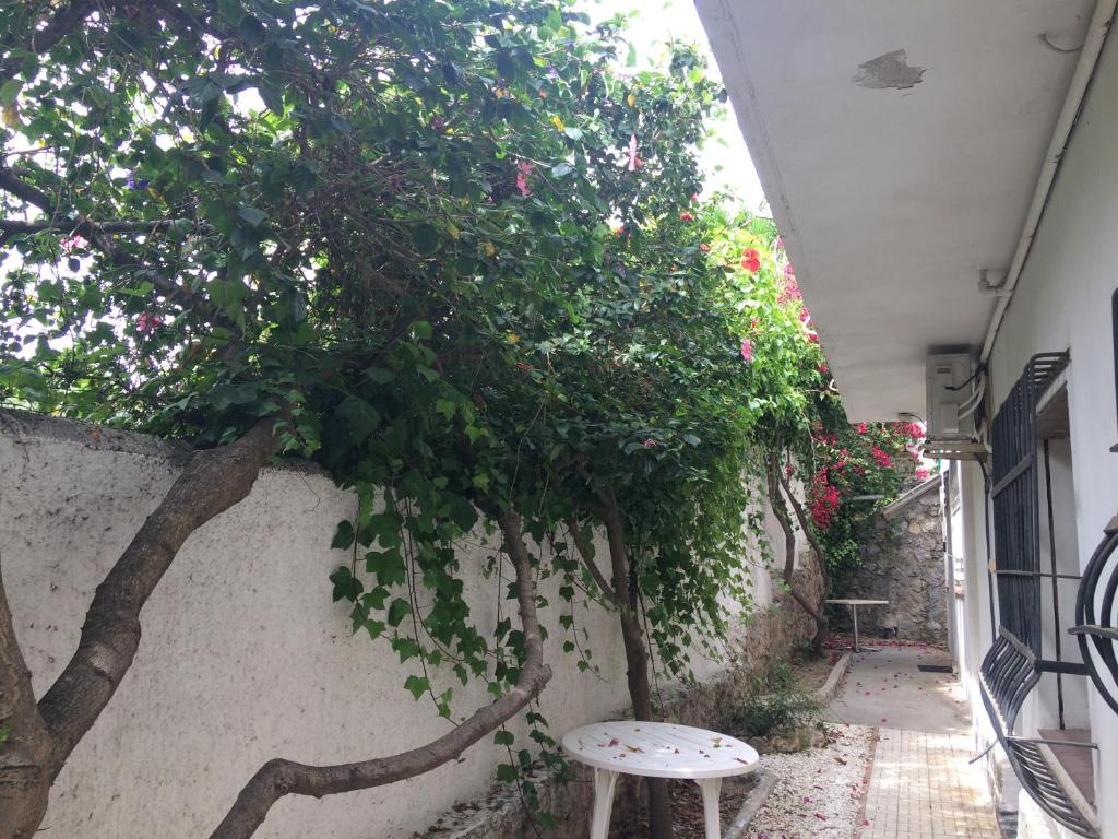 Ogród w obiekcie Apartamentos Villa Mar 13 Torremolinos