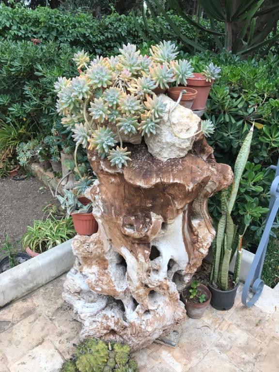 a tree stump with potted plants on top of it at Holiday home Anita in Arenella