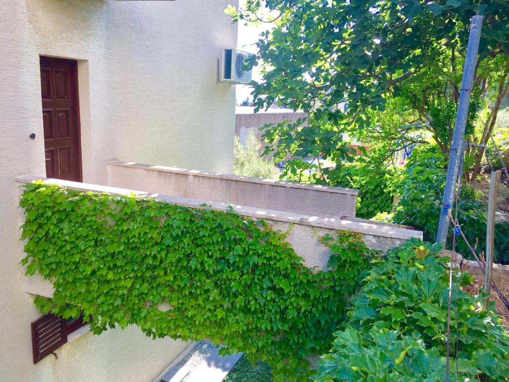 Zahrada ubytování Apartment Martinovic