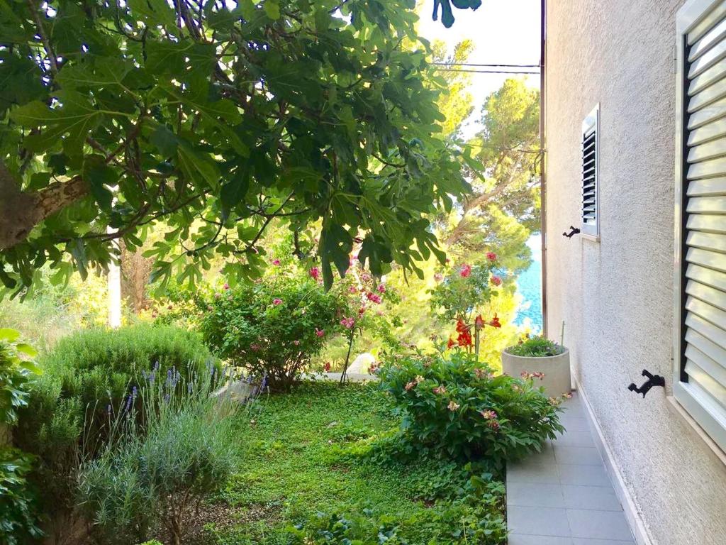 Zahrada ubytování Apartment Martinovic