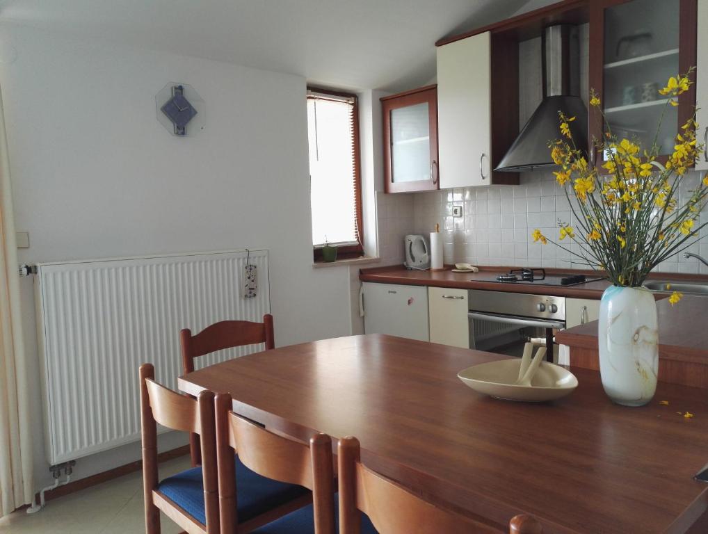 Kuchyň nebo kuchyňský kout v ubytování Apartments Rede