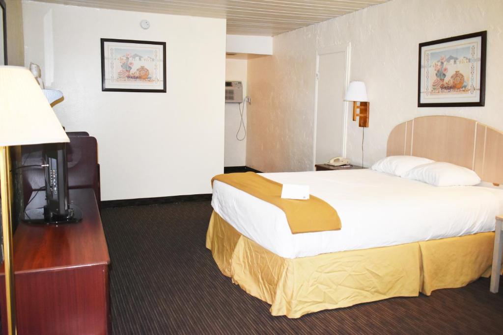 Postel nebo postele na pokoji v ubytování Knights Inn Page