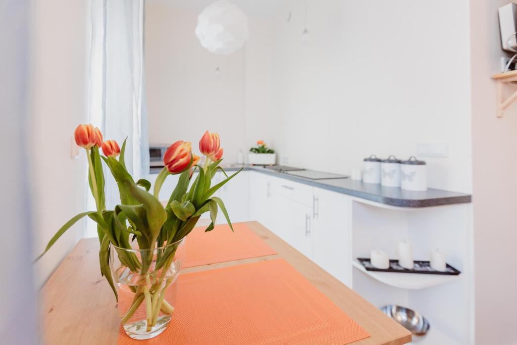 Kuchyňa alebo kuchynka v ubytovaní Garden Apartment