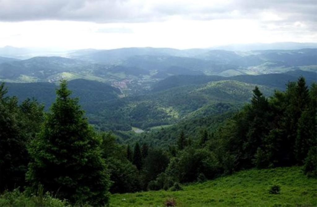 Príroda v okolí privátu