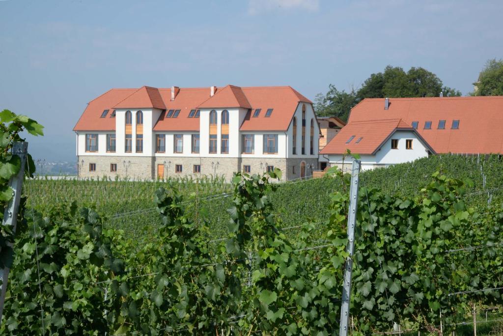 a house in the middle of a vineyard at Weingut Taggenbrunn in Sankt Veit an der Glan