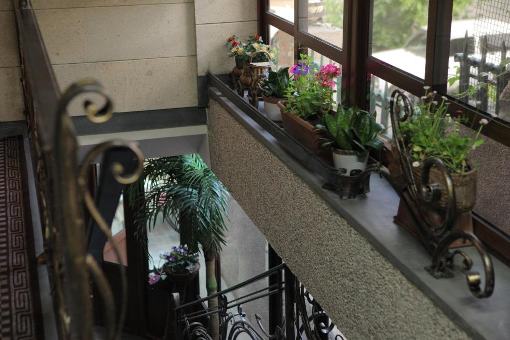 Zahrada ubytování Daniel Boutique Hotel