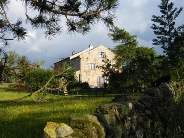 een groot huis in een veld met een stenen muur bij West Nattrass Guest House in Alston