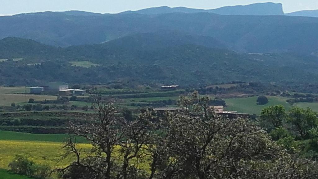 uitzicht op een groen veld met bergen op de achtergrond bij Casa Rosalia in Castillonroy