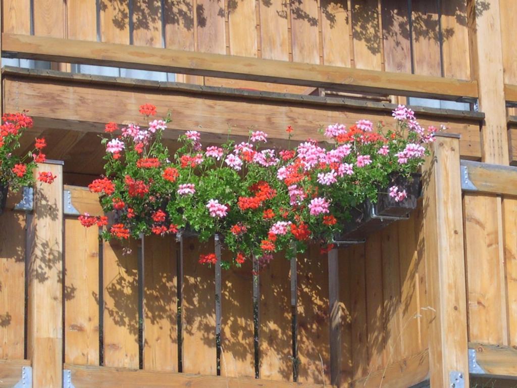 Zahrada ubytování Chalet Z`Wichjehüs