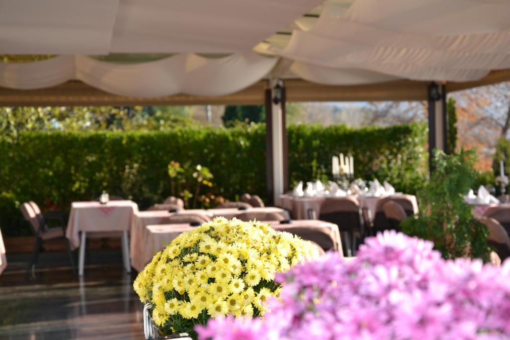 Zahrada ubytování Hotel Dva Bisera