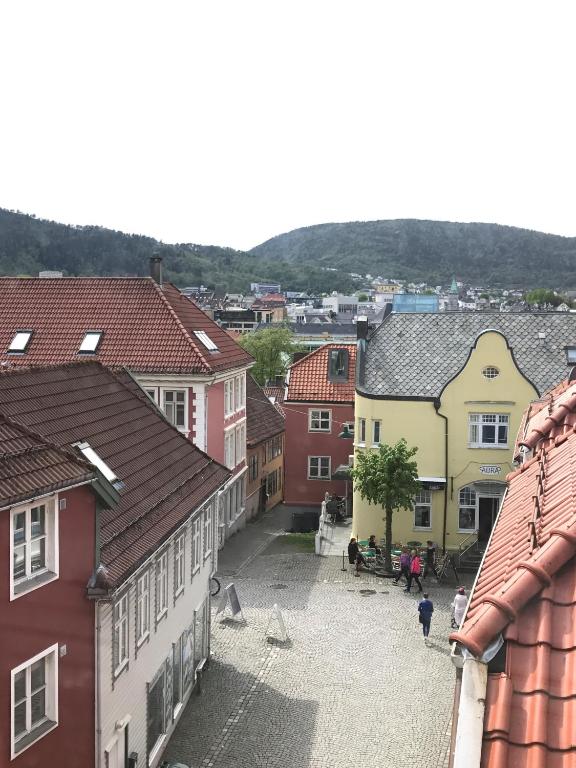 Příroda nedaleko hostelu