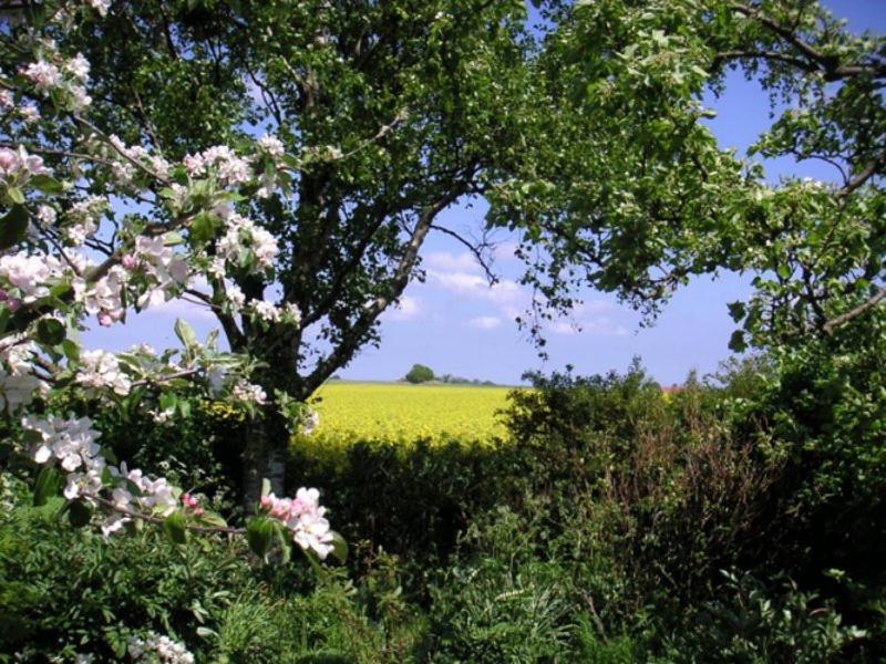 Paesaggio naturale nelle vicinanze del bed & breakfast