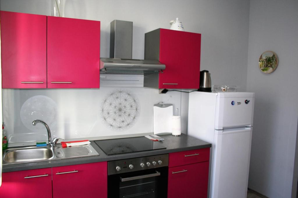 Kuchyňa alebo kuchynka v ubytovaní Pavelin apartments